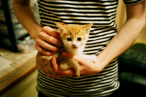 开云官网APP下载-_绿色运动新风尚：推广低碳、环保的运动理念_，绿色低碳环保的宣传语