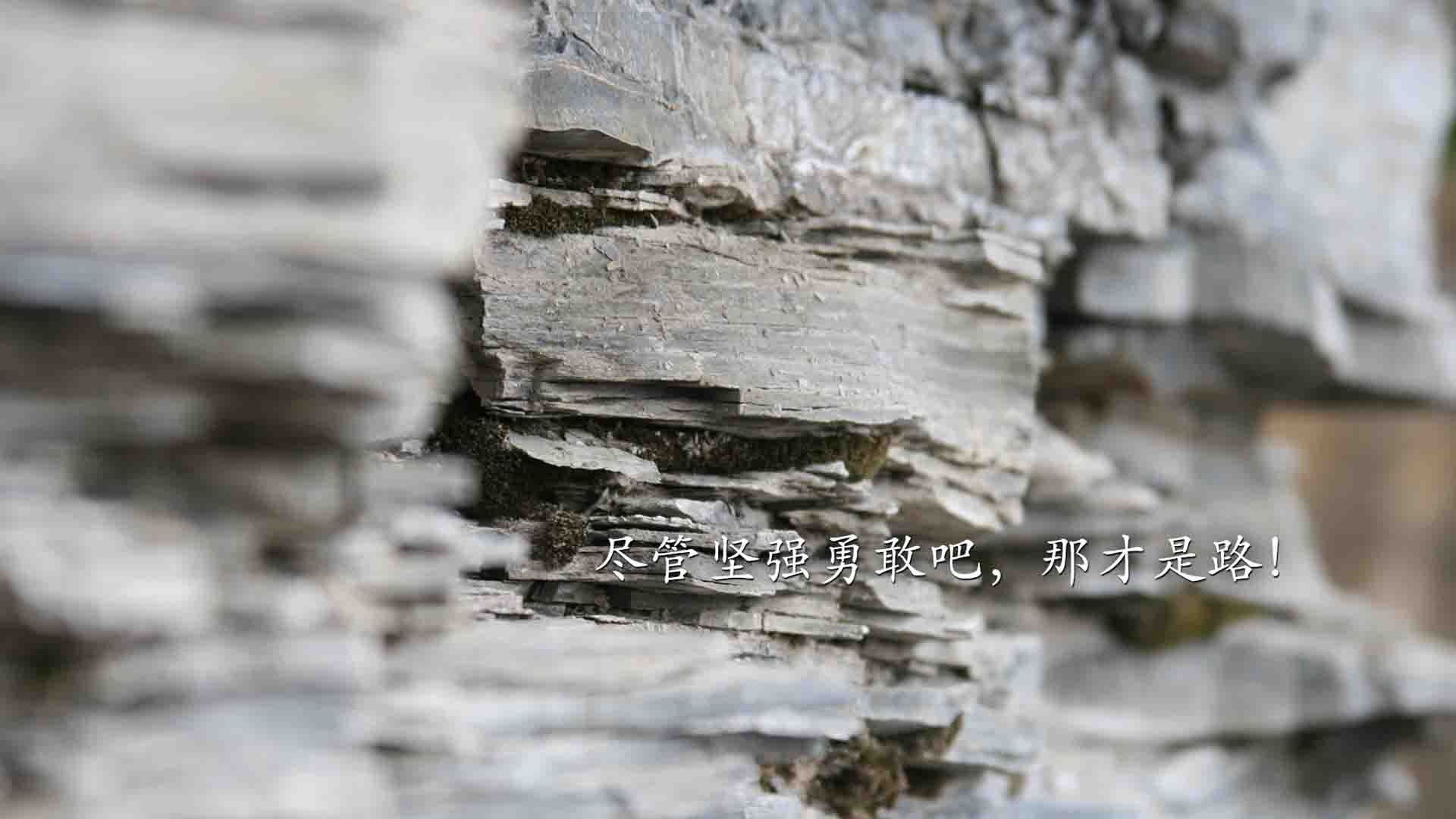 开云网页版-_青少年体育大会：未来运动明星的摇篮_，青少年体育司