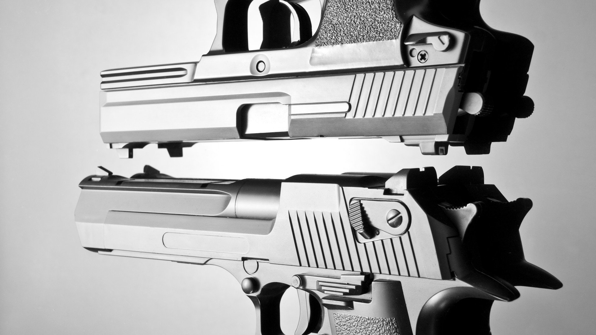 _骑士核心状态火热，团队士气高涨_，骑士队伍成员