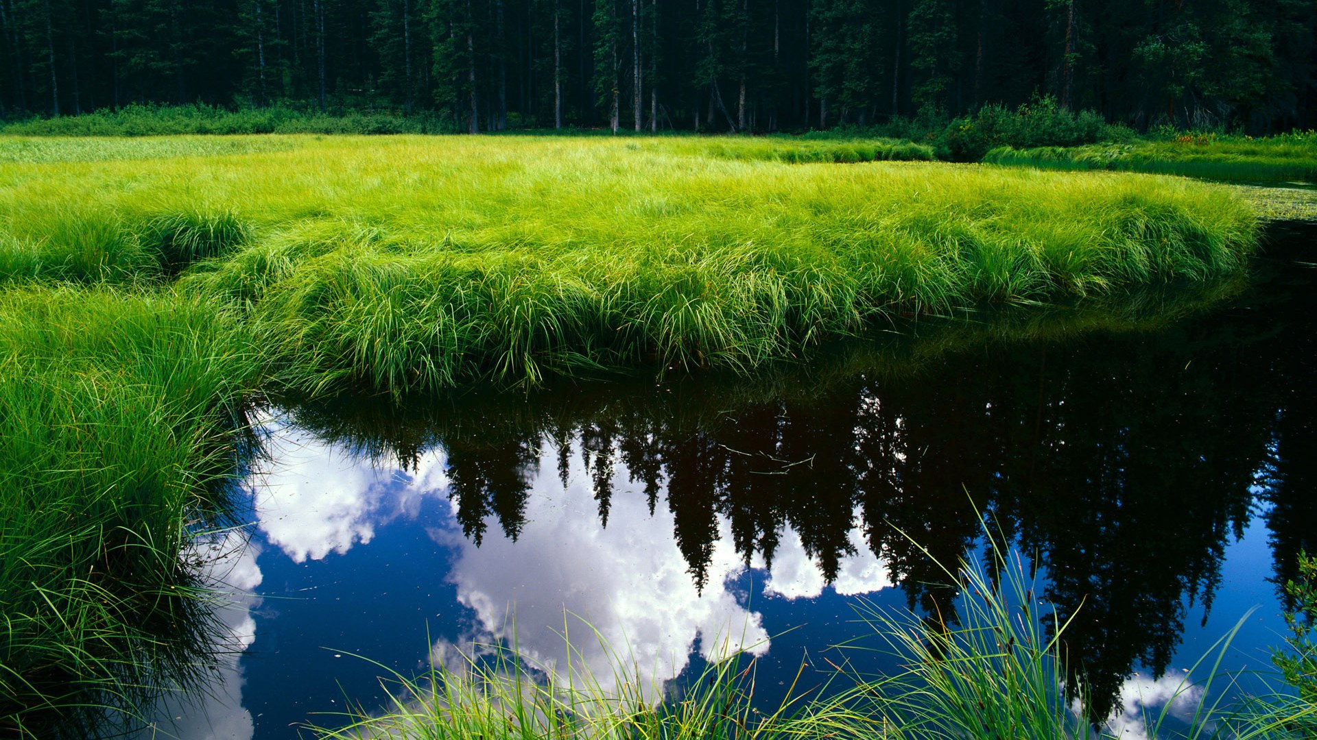 “意甲强大阵容持续发力,豪门望尘莫及”,意甲各队最新关系