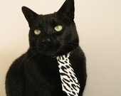 “青春燃烧”全国青少年篮球夏令营在成都盛大举行,青少年篮球训练夏令营