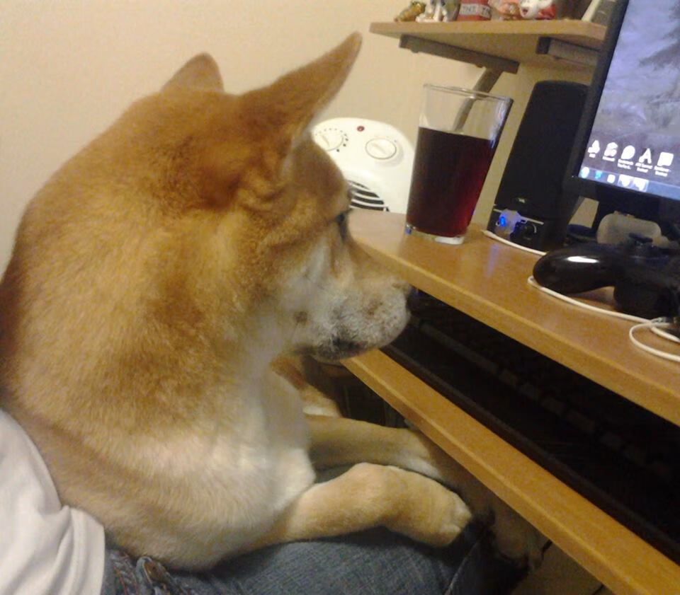 《行业协会推动:共同维护电竞比赛的公平与秩序》,电竞协会章程