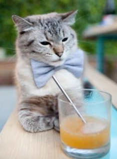 KAIYUNAPP-中超电视转播实现多视角实时切换，中超电视转播实现多视角实时切换的软件