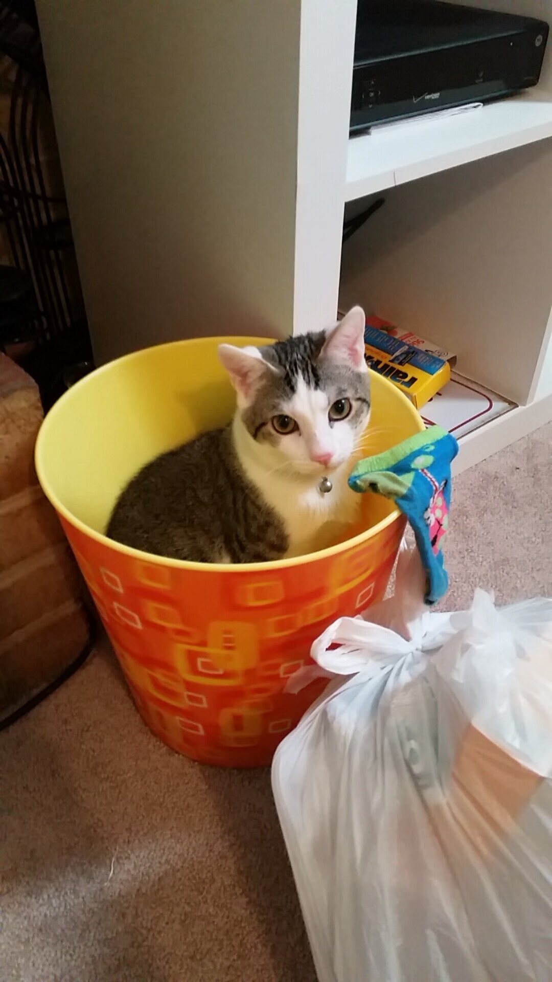 冬奥足球黑马？伊朗连胜三场稳居小组第一，伊朗国奥队