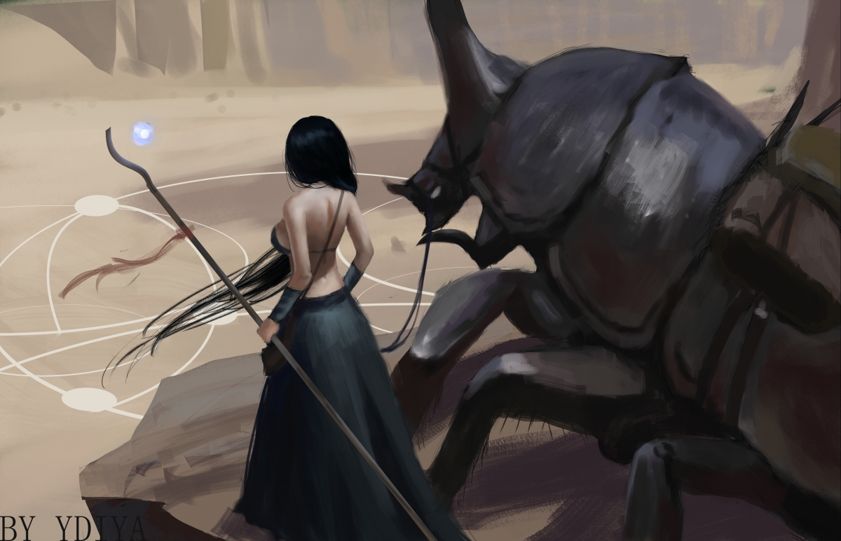 德甲比赛紧凑,精彩瞬间迭出,战术变化频繁,德甲 ds