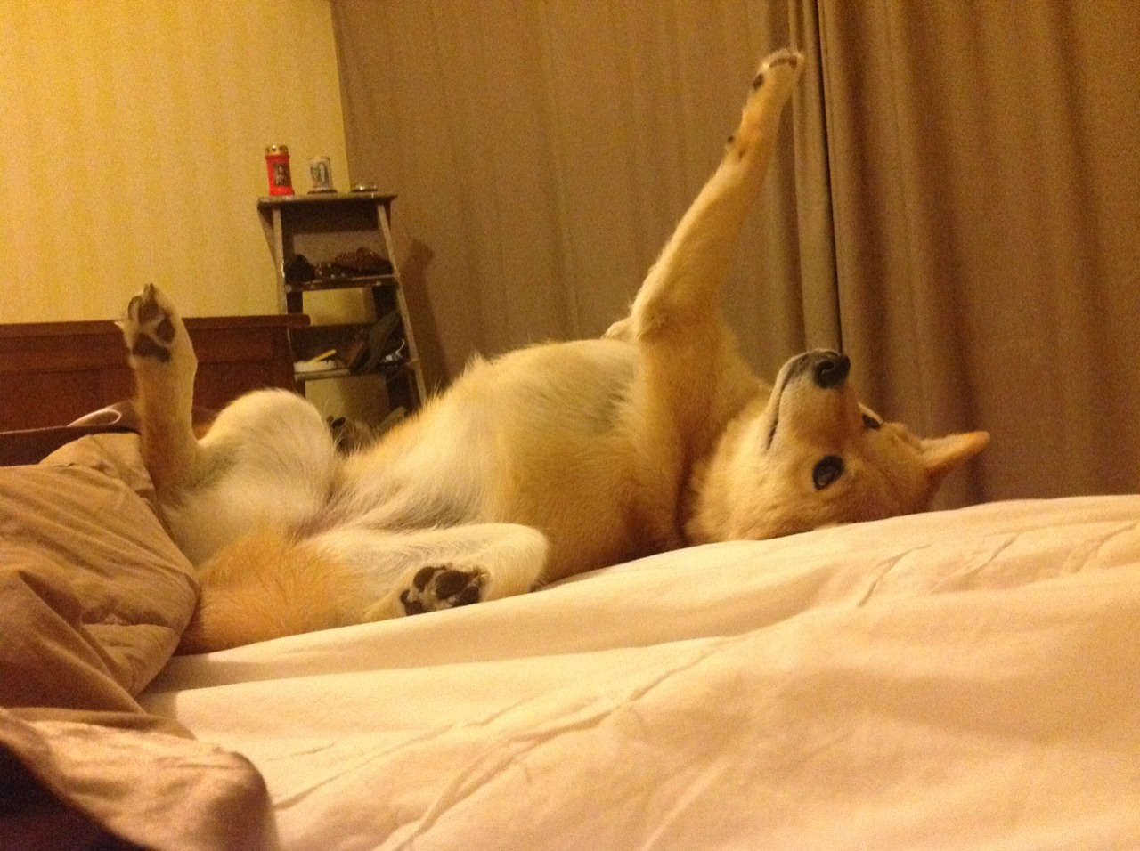 Kaiyun(中国)开云-法甲：蒙彼利埃1-0击败卡昂，守门员表现抢眼，蒙彼利埃主帅