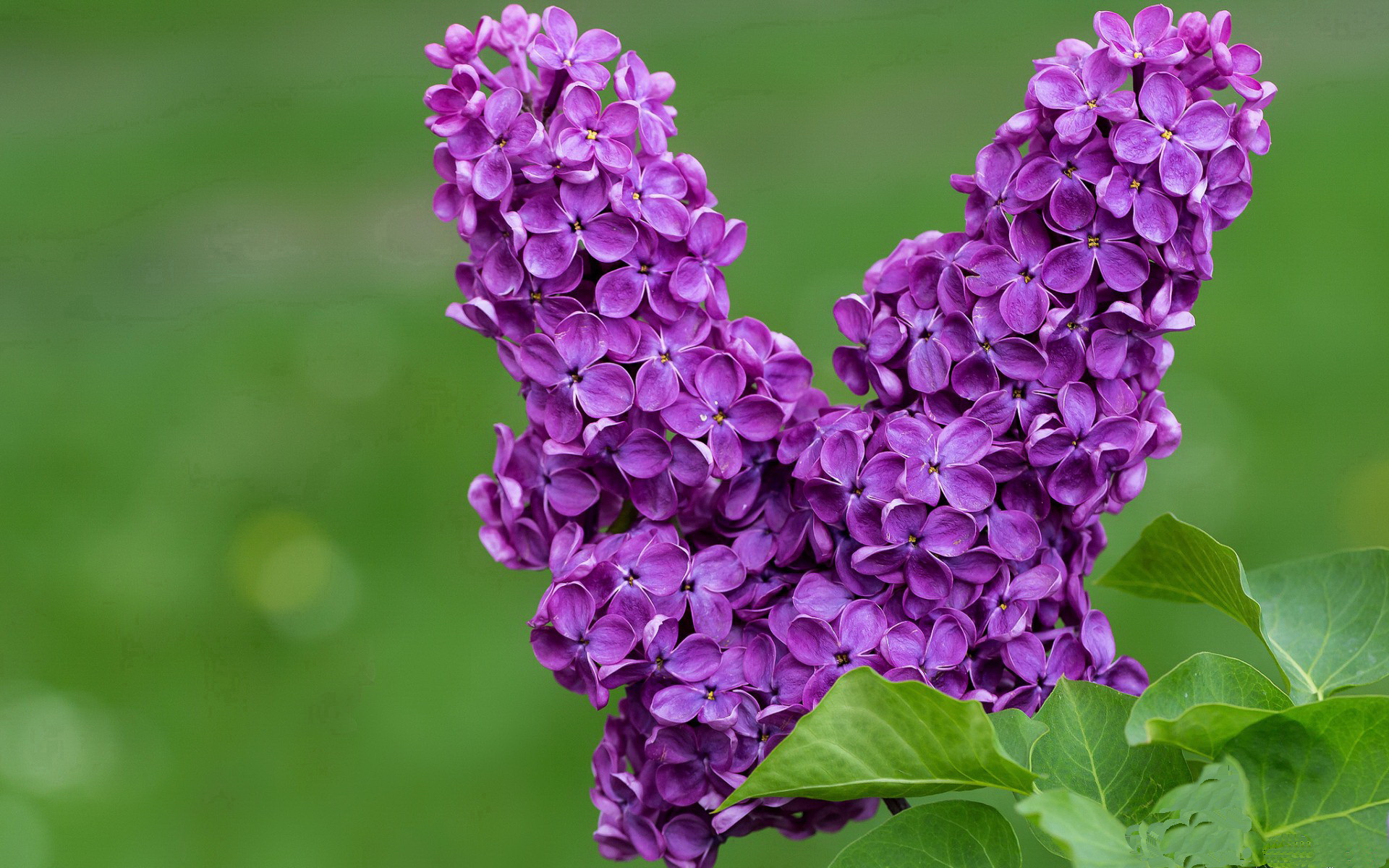 kaiyun官方网站-足球赛事直播技术升级支持4K高清信号，足球直播画面