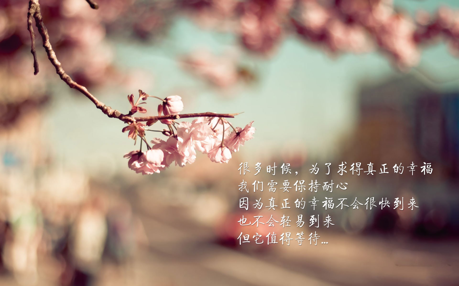 公牛球队赛季表现超出预期