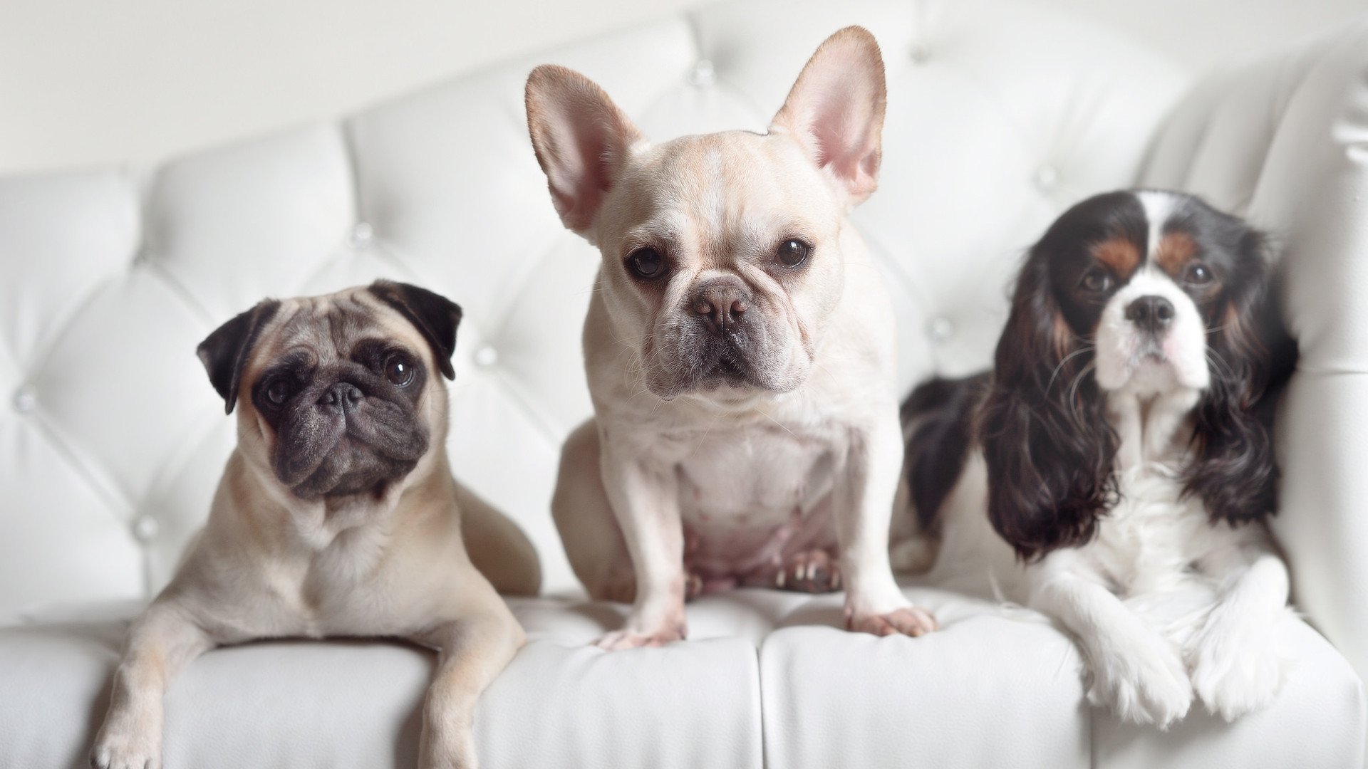 同曦队防守体系调整收到成效,同曦队老板