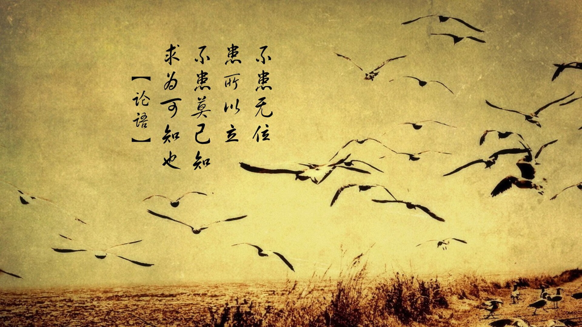 开云·Kaiyun网页版-国际米兰斩获胜利，保持不败金身，国际米兰2021