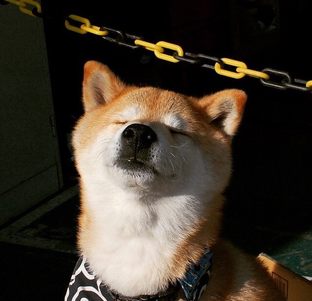 开云kaiyun-堡垒之夜UGC经济体系初现雏形，堡垒之夜glow