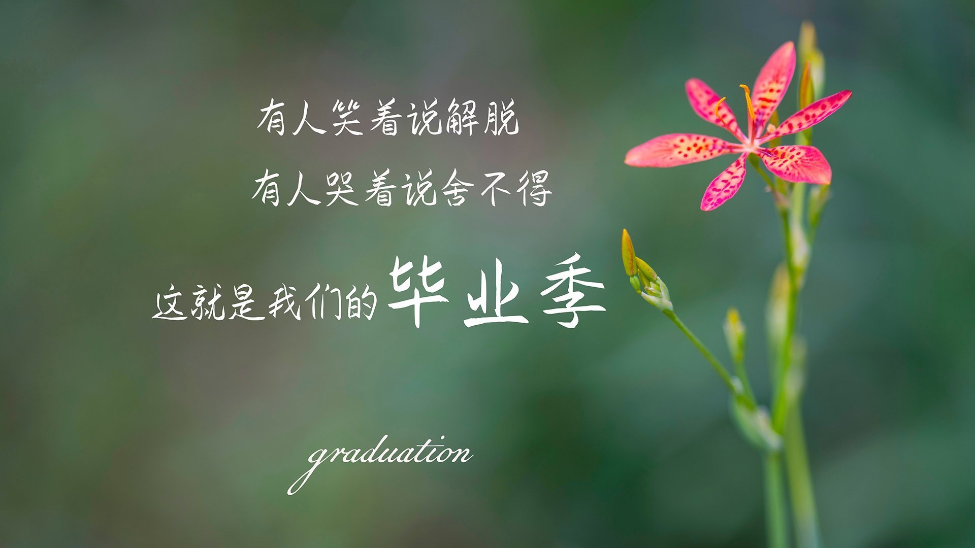 开云·Kaiyun网页版-巴萨主场3-0战胜贝蒂斯，进攻端表现出色，巴萨vs贝蒂斯视频直播