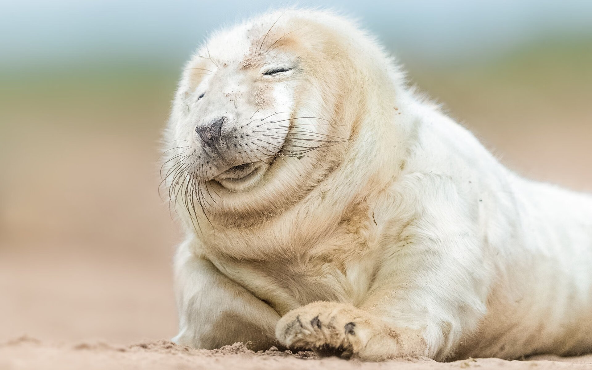 掘金压哨战胜独行侠,关键一役中约基奇连续抢断建功,约基奇47分掘金胜爵士