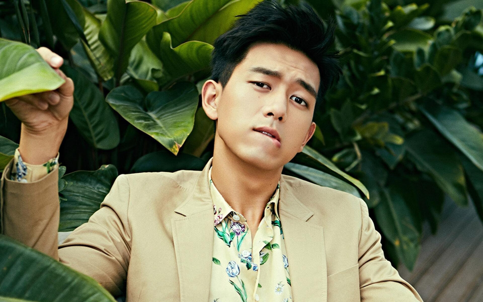 猛龙锋线伤情有所好转,球队士气大增,猛龙 大前锋