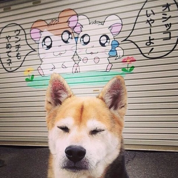 kaiyun体育综合-里尔主场小胜昂热，保持领先势头，里尔最近比赛