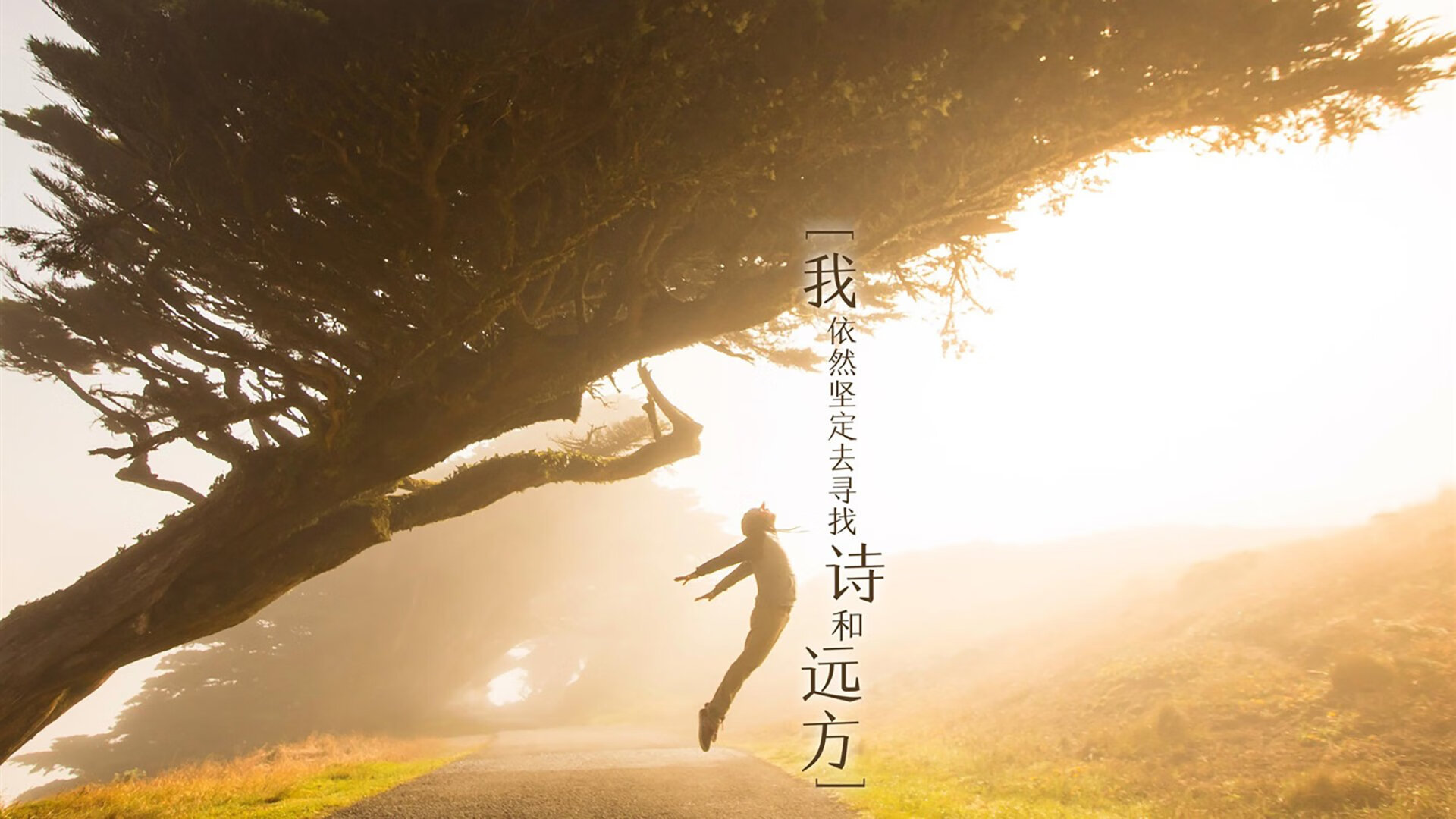 开云官方网站-那不勒斯战平都灵，主场未能全取三分表现一般，那不勒斯都灵比分预测