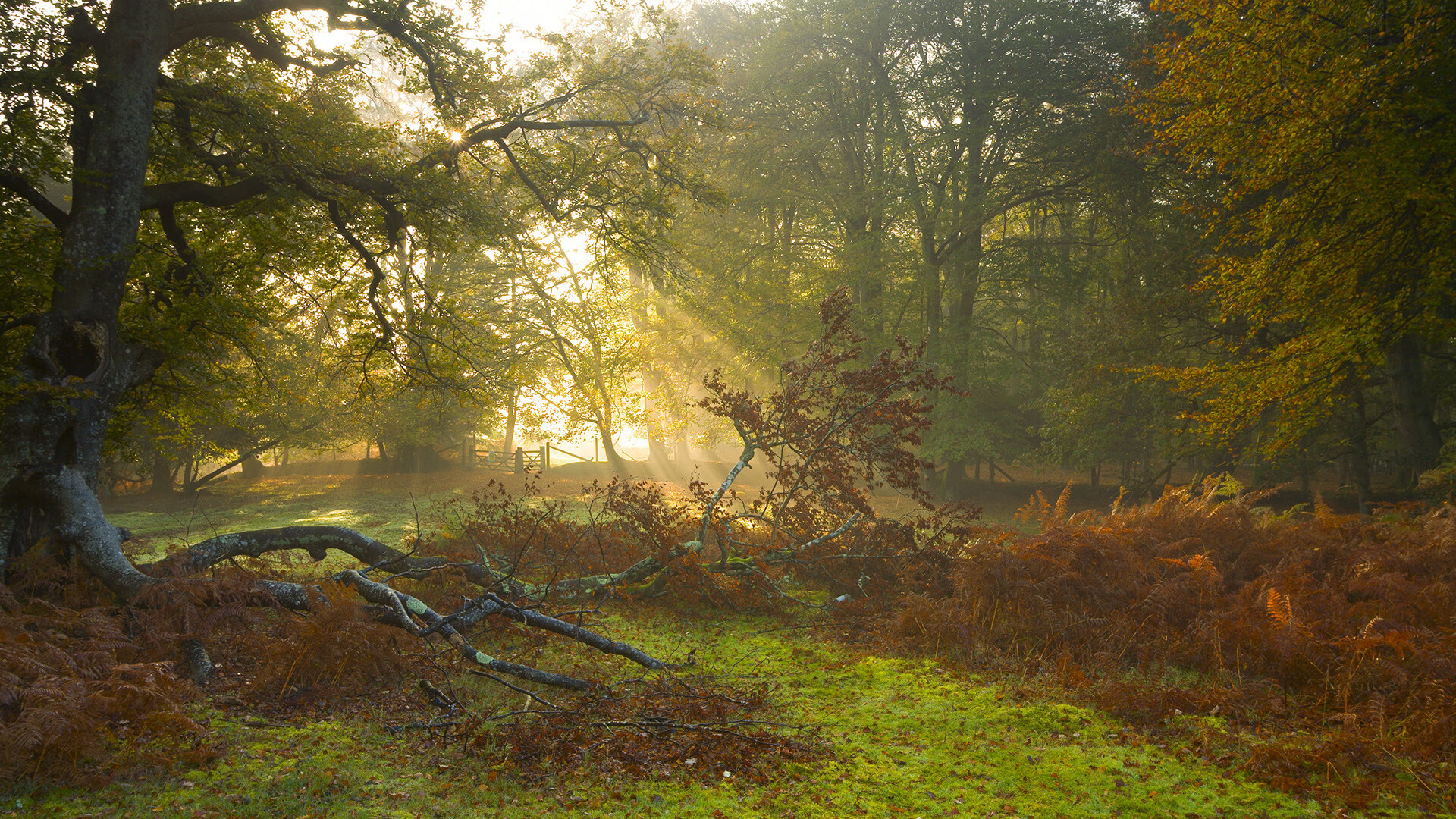 kaiyun.com-马竞主场惨败，积分榜榜首位置或将失守，马竞战况