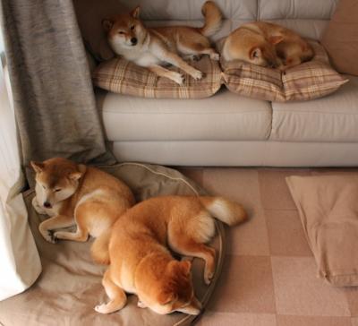 中国篮球运动员体能训练监控系统开发,篮球体能训练表