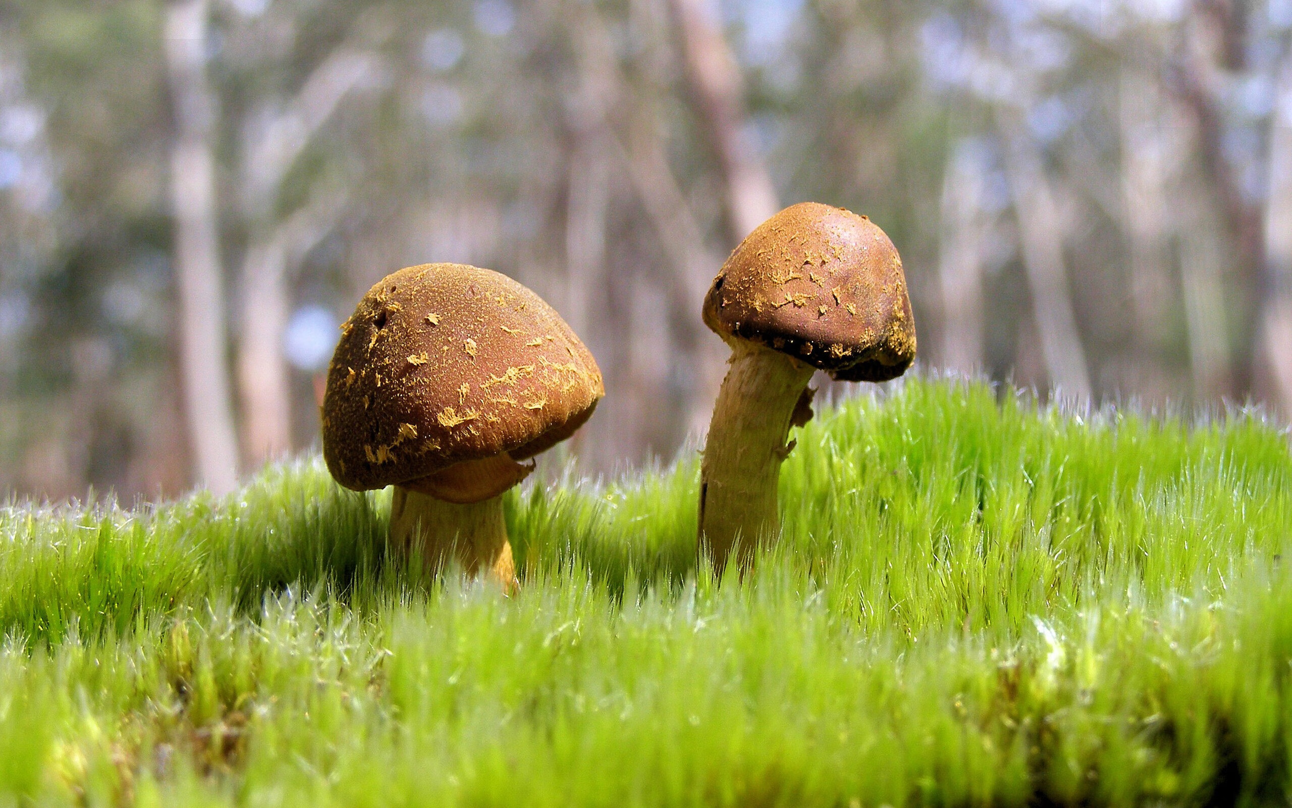 开云入口-国家男子足球队训练基地全面升级，中国国家男子足球队名册