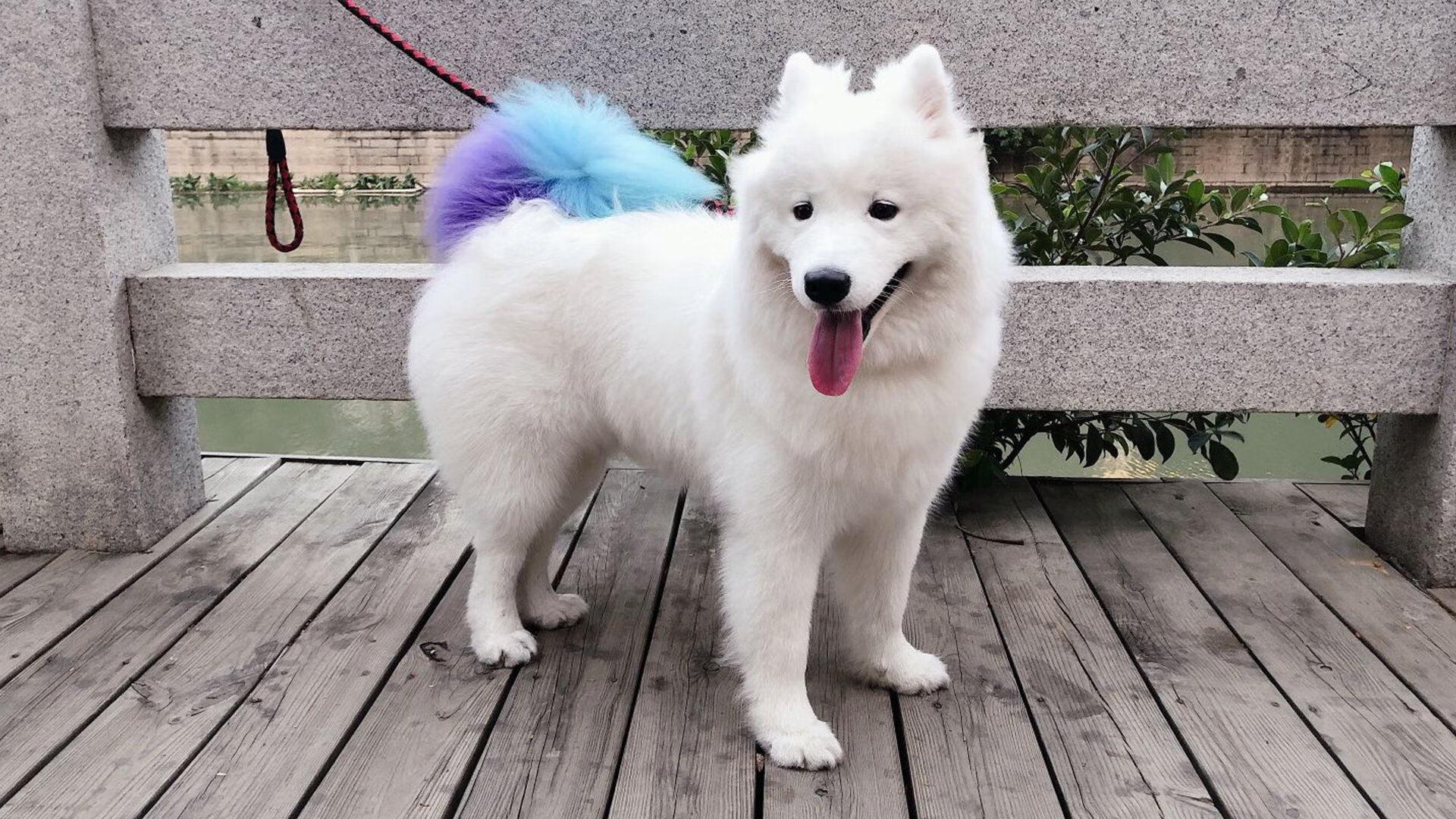 乌干达女篮在非洲锦标赛中持续崭露头角，体育事业快速发展，非洲乌干达视频