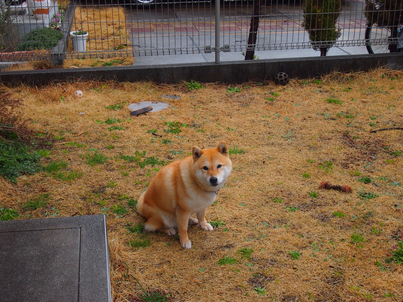 体育新闻中心黑马表现分析，体育新闻的网站