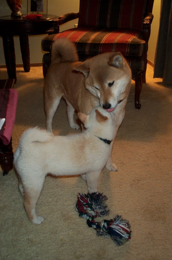 kaiyun.com-哈斯克赛后谈训练细节与经验，哈斯克人