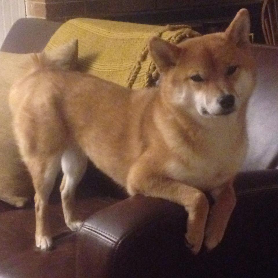 奇才提升转换进攻成功打乱对手节奏，奇才进攻效率