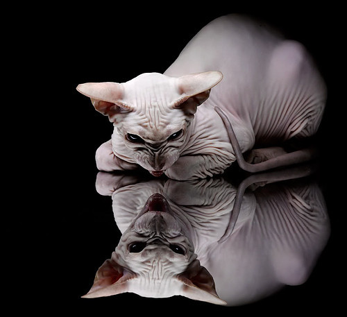 媒体日现场热闹非凡球员积极配合展示良好形象