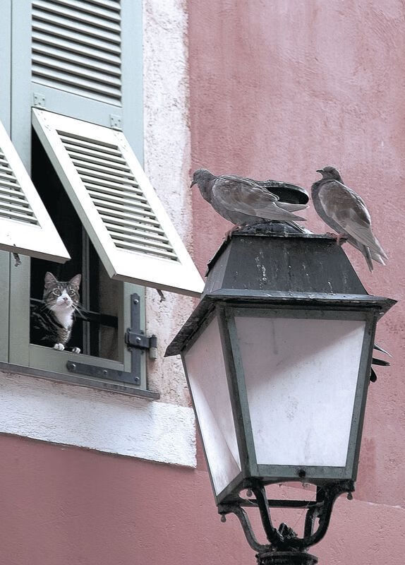 意甲绝佳配合：细腻传控成就经典，意甲官方最佳阵容