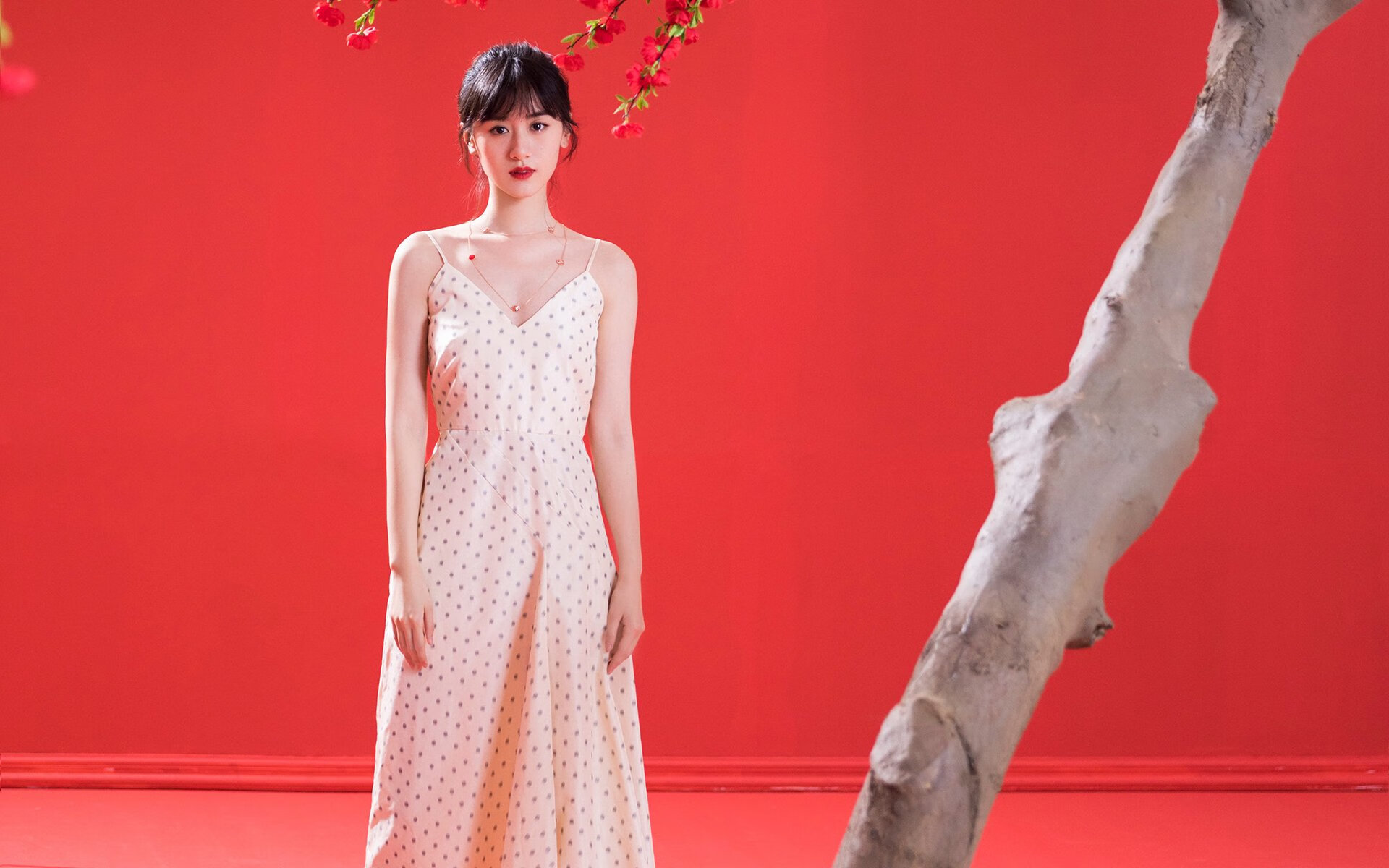 美洲杯绝佳配合:团队合作的完美展现,2020美洲杯邀请队伍