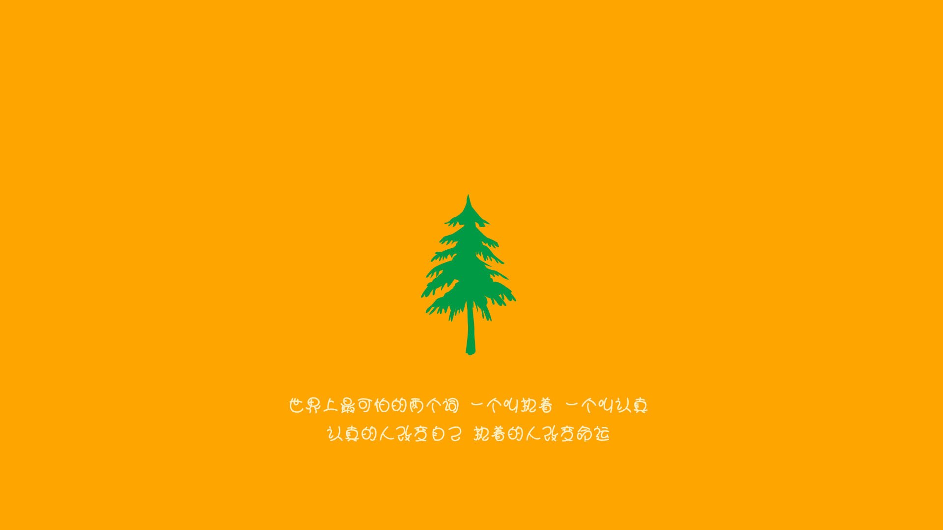 谢佩玲跳台表现引发媒体关注,谢佩诗个人信息