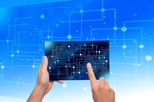 开云体育官方入口-NBA联盟品牌资产价值提升路径研究，nba联盟logo设计理念分析