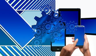 开云体育vip-中国篮球联赛品牌建设及粉丝经济研究，国内篮球职业联赛