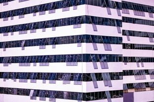 开云app更新-体育新闻中心建设体育数字内容版权保护体系，体育数据新闻