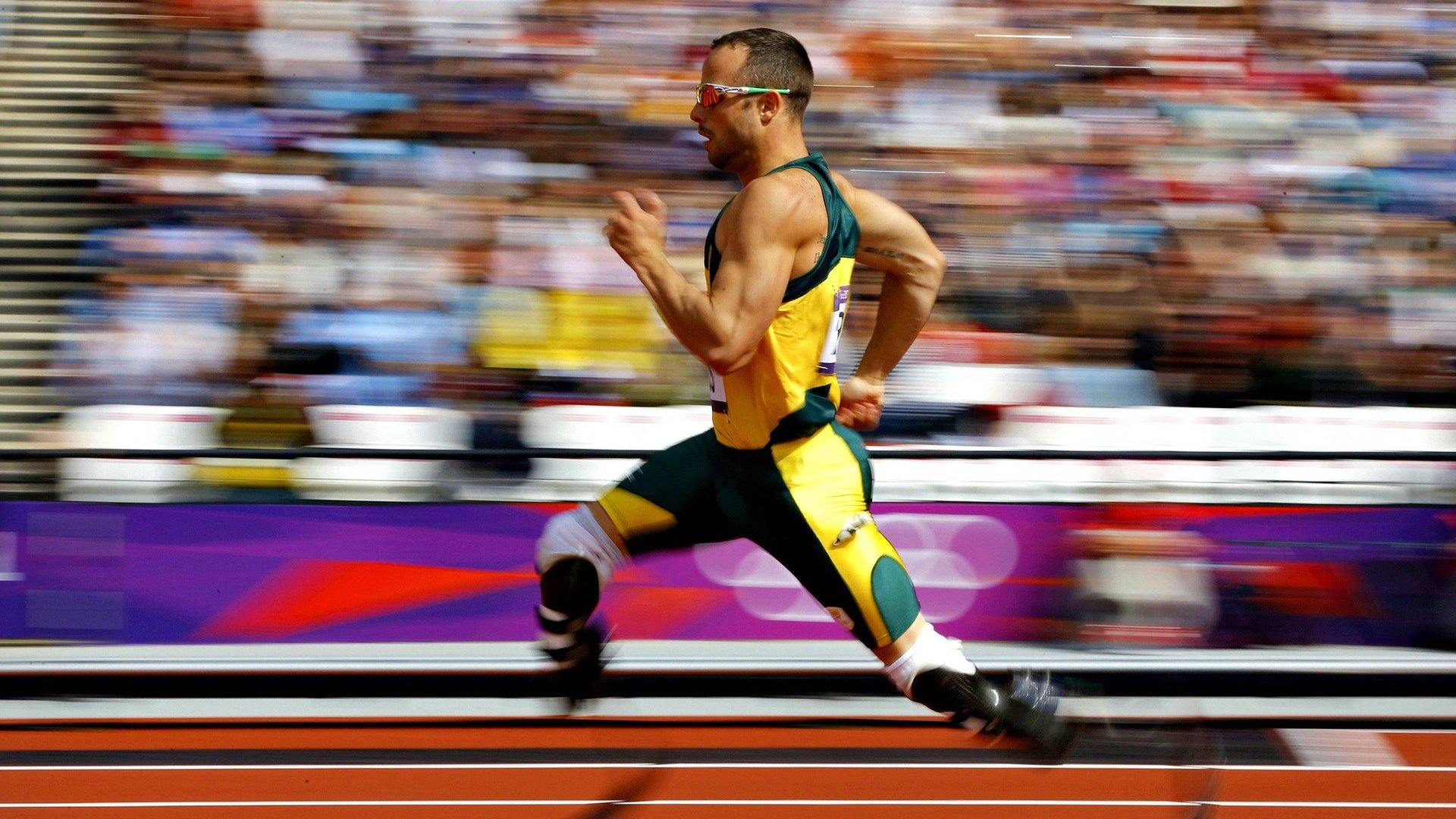 开云体育真人-蝶泳节奏重心：中国后移，美国前移，蝶泳动作分解